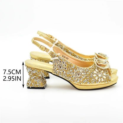 Anika Bag & Shoe Set