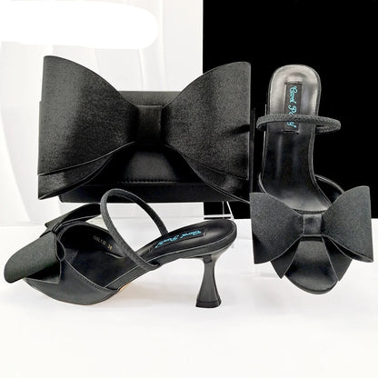 Anaira Bag & Shoe Set